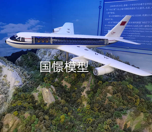 泰州飞机模型